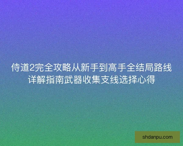 侍道2完全攻略从新手到高手全结局路线详解指南武器收集支线选择心得