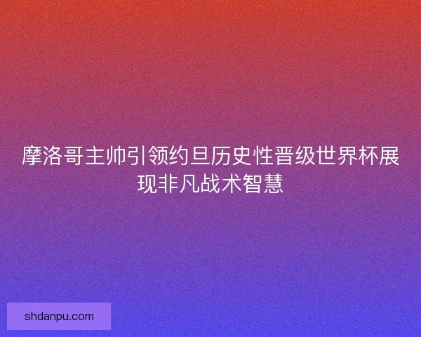 摩洛哥主帅引领约旦历史性晋级世界杯展现非凡战术智慧