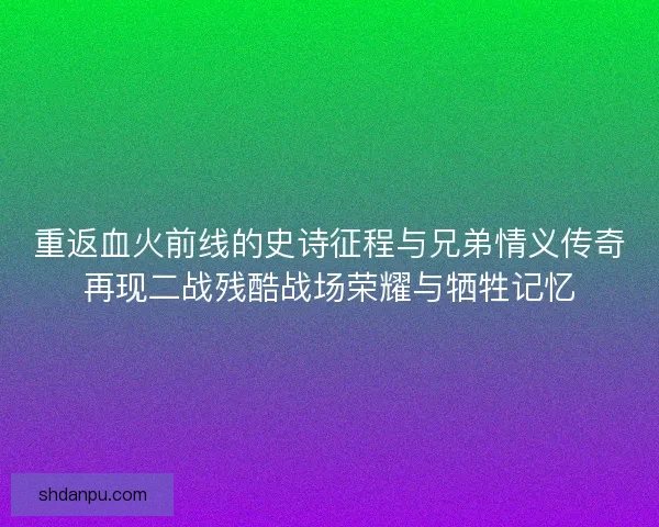 重返血火前线的史诗征程与兄弟情义传奇再现二战残酷战场荣耀与牺牲记忆